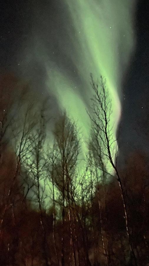 Russenes Stor Hytte I Olderfjord 빌라 외부 사진